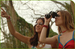 Birdwatching Cuba