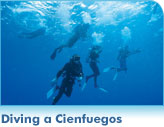 Diving a Cienfuegos