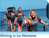 Diving a La Havana