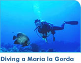 Diving a Maria la Gorda