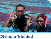 Diving a Trinidad