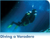 Diving a Varadero